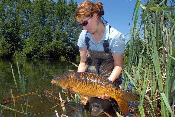 fetele - luybowden02.jpg